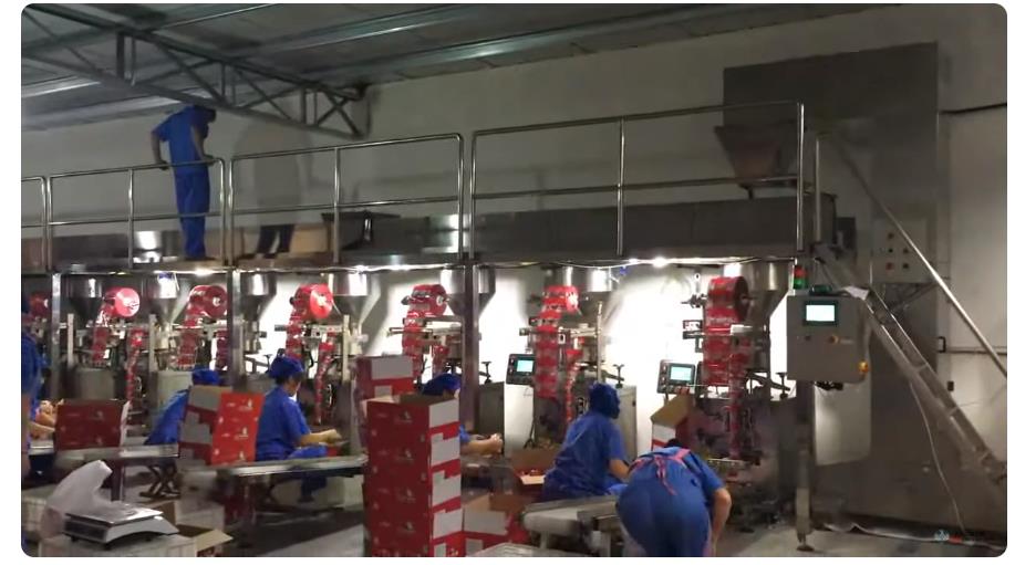 Jinan Eagle automatic feeding system for 9 packing machines, save labors