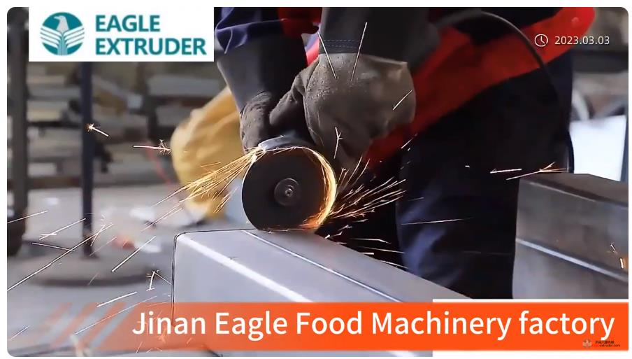 Jinan eagle food machinery factory snacks| pet dog food |fish feed|animal feed machines manufacture