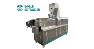 Twin Screw Extruder